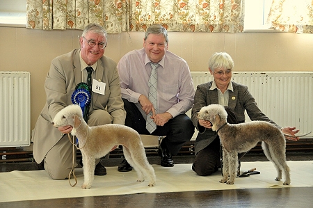 BIS Ch.Gnejnabay Genegenie Gal At Lowbrook JW ShCm -  RBIS Gnejnabay Just Asha At Burmington 