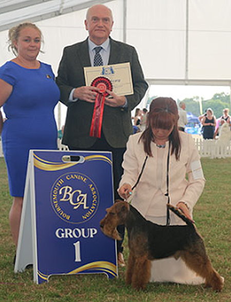 BEST : 427 COLE, Ms Claire - Ch Perrisblu The Phantom - WELSH TERRIER - Dog