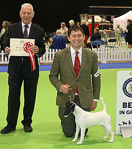 BEST : 4970 WILBERG, Mrs Kari - Ch Kanix Quickstep - FOX TERRIER (SMOOTH) - Bitch