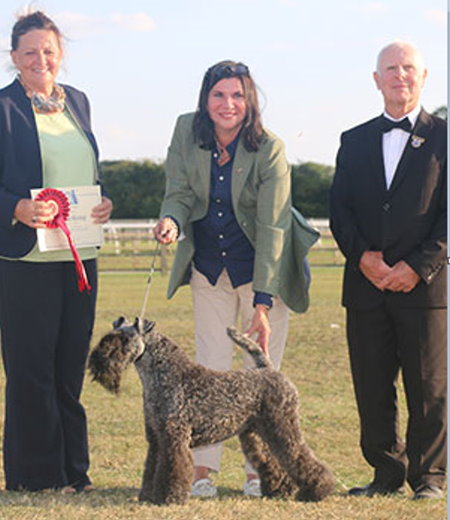 DAVANI, Ms Cara & POTTS, Mr Andrew - Ch Kebulak Killer Queen 