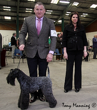 BCC CH PERRISBLU DIGNITY (MR PHIL DAVIES) 