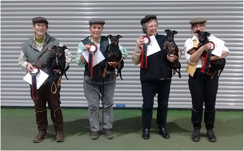 Manchester Terriers 16