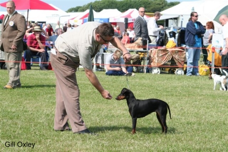 BOB Calastoa Ruby Tuesday