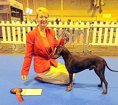 Manchester Terrier And Owner 