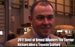 Professional Handler Richard Allen At Crufts 2011 