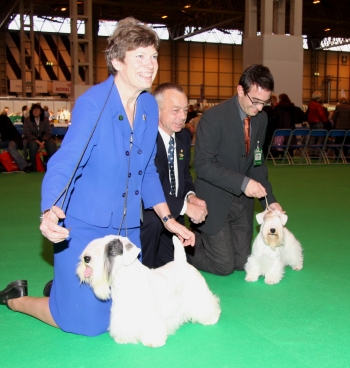 Left Ch Efbe's Hidalgo At Goodspice Right Ch Saore Goodnightlovers