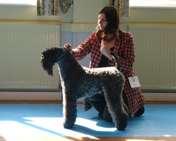 ARKAMA PINBALL WIZARD AT PHILWYRE