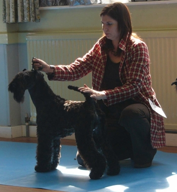 GRANEMORE MAXIMILLIAN AT KEBULAK